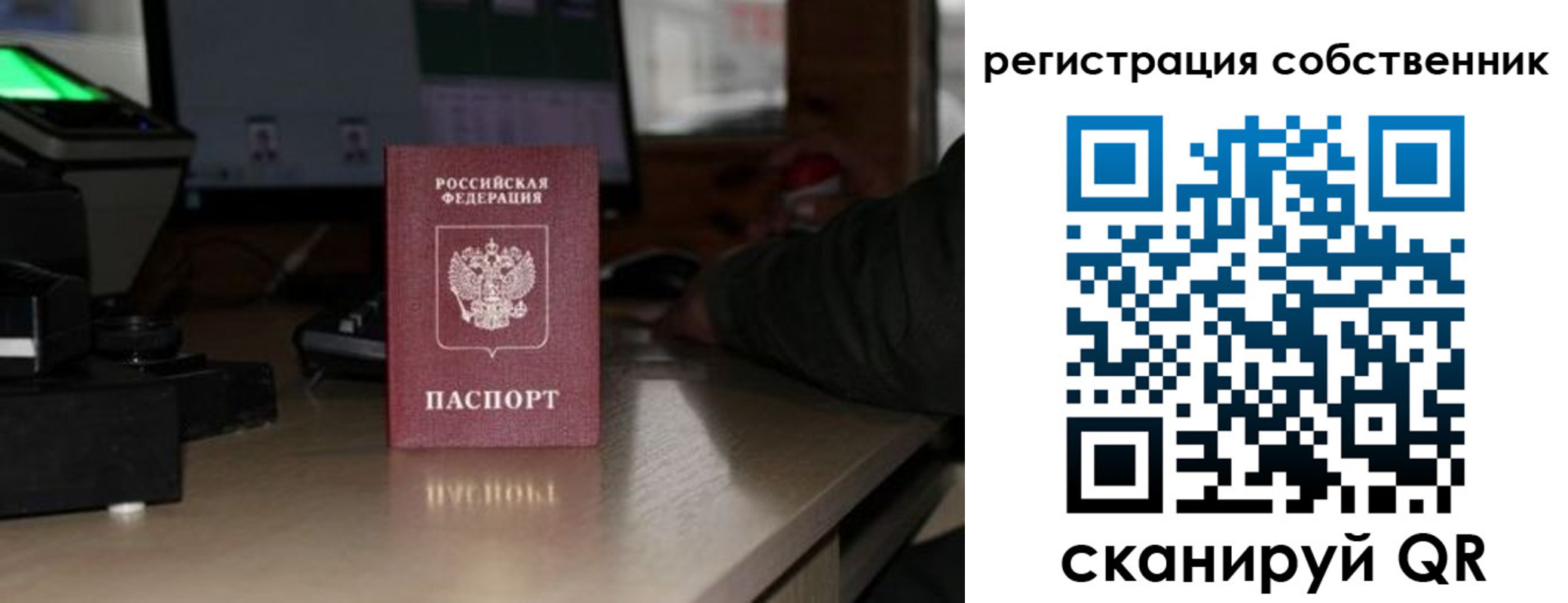 прописка поиск в Вяземском